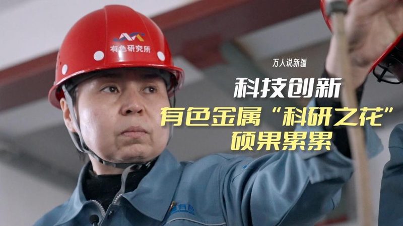 AI应用平台：价格背后的考量因素**