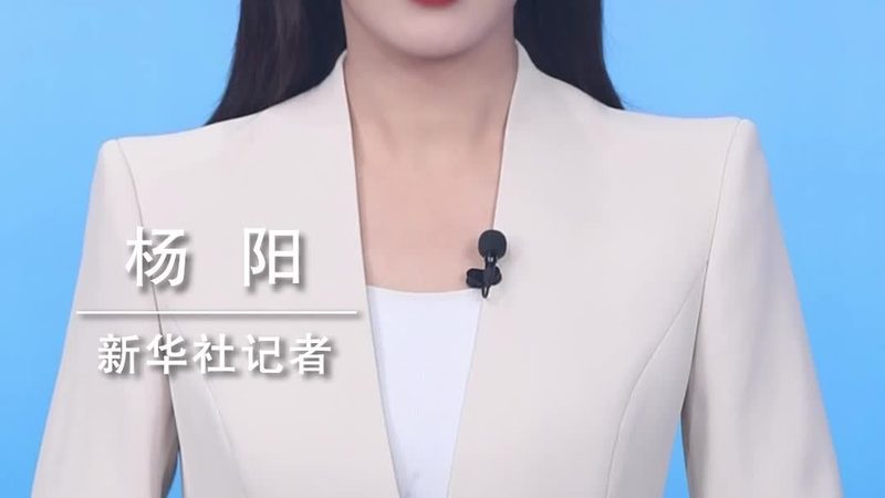 揭秘：人工智能应用企业排名背后的逻辑与趋势